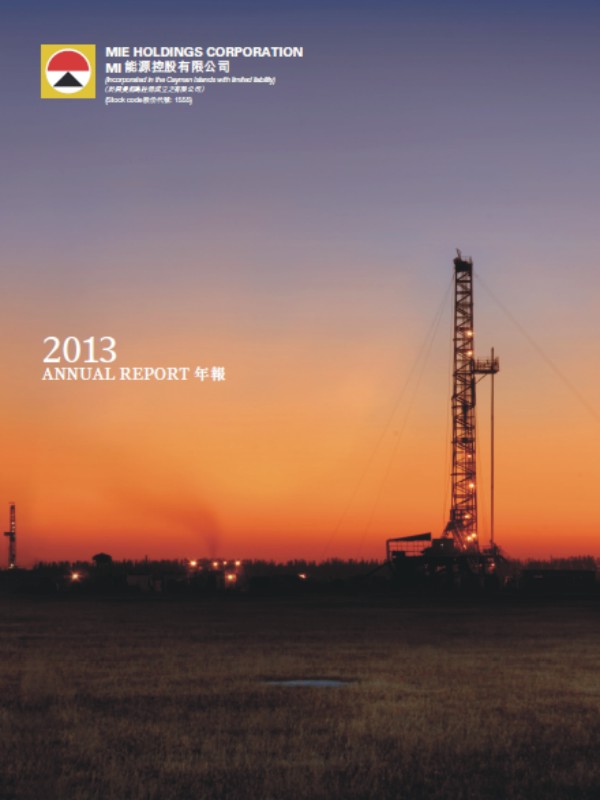 2013 Annual Report